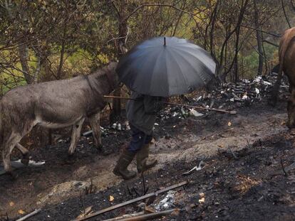 La oleada de incendios en Galicia ha dejado su huella en numerosos lugares, como en en el corazón de la sierra lucense de Os Ancares.