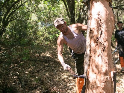 Arriba, descortezadores de alcornoques en la sierra de C&aacute;diz. Abajo, la dise&ntilde;adora Mar&iacute;a Beltr&aacute;n.&nbsp;