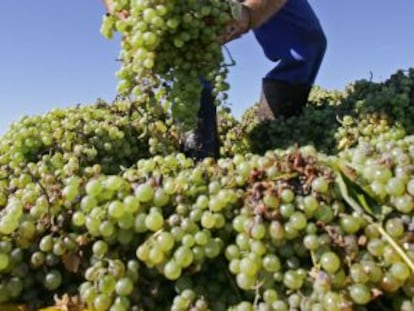 Para el a&ntilde;o 2020, F&eacute;lix Sol&iacute;s espera vender el 70% de su producci&oacute;n fuera de Espa&ntilde;a. 