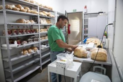 Homem trabalha na cooperativa do Assentamento 8 de Junho, em Laranjeiras do Sul.