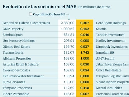 Las socimis del MAB mueven menos dinero en 2018 que siete valores del Ibex en un día