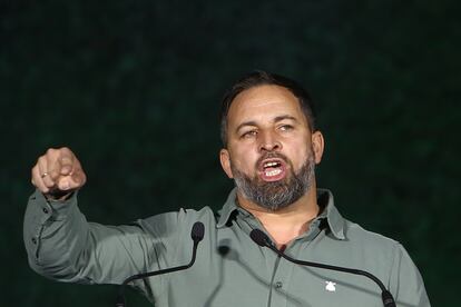 Abascal, durante el cierre de campaña de Vox en la plaza de Colón de Madrid.