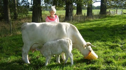 Rosamund Young, en su granja.