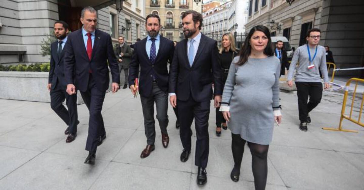 Vox impide una declaración en el Congreso contra la violencia machista ...