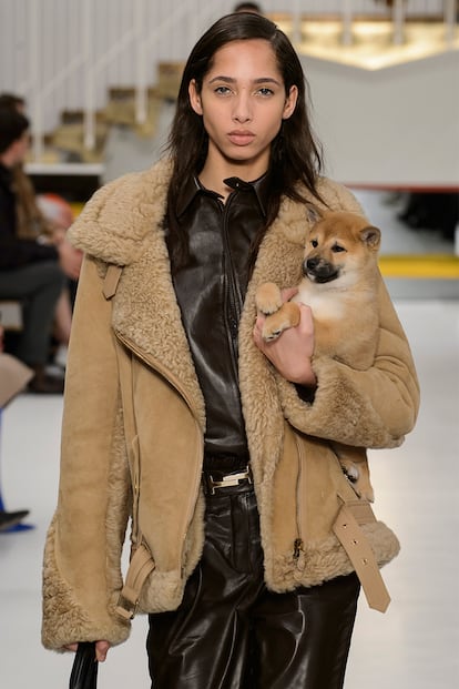 Otro de los perros que protagonizaron el desfile de Tod’s.