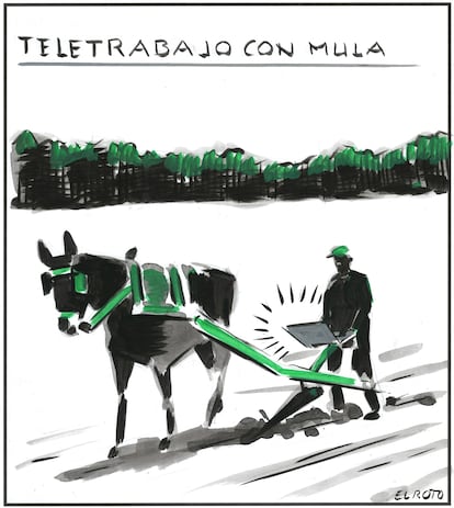 Vi?eta de El Roto del 20 de enero de 2025