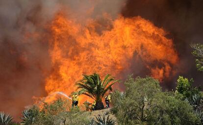 Varios bomberos intentan que las llamas no lleguen a las casas en las monta?as de Ventura County, California.