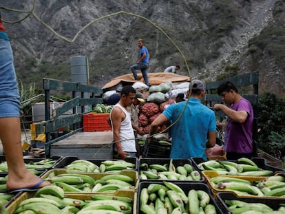 Trabajadores transportan vegetales, en La Grita (Venezuela).