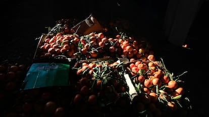 Naranjas en un mercado de Saná (Yemen), el 14 de diciembre.