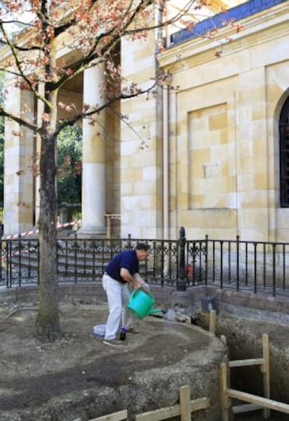 El ingeniero técnico agrícola Kepa Txarterina realiza un riego con nutrientes en el árbol de Gernika.