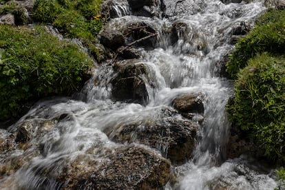 el río Ter tras su nacimiento.
