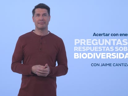 Sostenibilidad y... ¡acción!