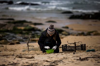 Una voluntaria retiraba 'pellets' de plástico en la playa de Porto do Son, A Coruña, el viernes.
