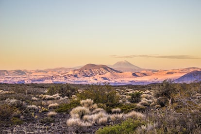 Argentina Huenul