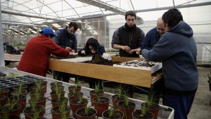 Varias personas participan en el proyecto Karabeleko.