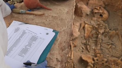 Trabajos de exhumacion de la fosa comun anexa al cementerio de Almagro, en Ciudad Real, el pasado mayo.