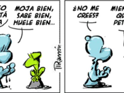 RAMÓN
