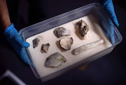 Os restos de Luzia, o fóssil mais antigo das Américas, apresentados nesta sexta.