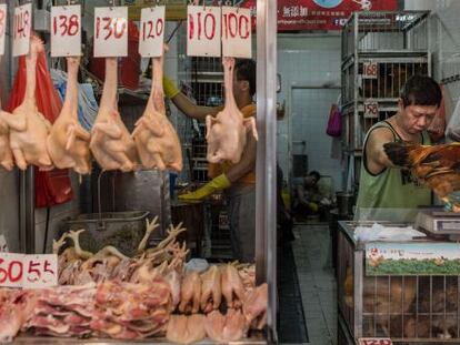 El cierre de los mercados de aves vivas en China se considera clave para cortar la transmisi&oacute;n del H7N9.