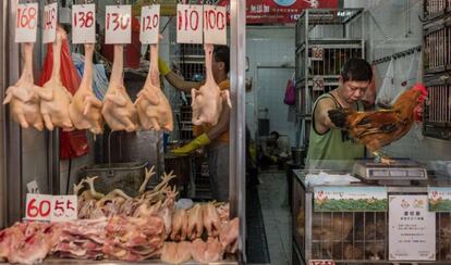 El cierre de los mercados de aves vivas en China se considera clave para cortar la transmisión del H7N9.