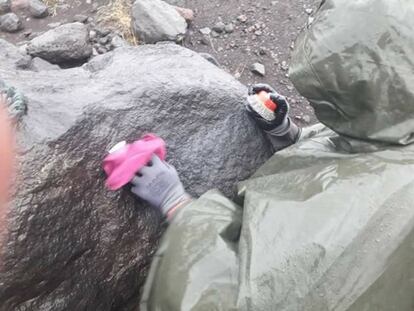Un miembro de la familia Pérez Beneteau no identificado limpia una roca volcánica en el Parque Nacional de Lanín.