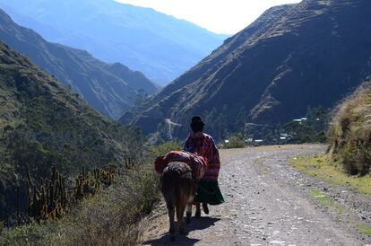 Camino a Charazani. El Apolobamba es una región que abarca varios ecosistemas: desde cordilleras nevadas que alcanzan los 6.000 metros de altura hasta valles tropicales como el de Charazani, que se pierden en la Amazonía.
