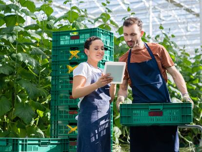 Andalucía, Cataluña, Madrid y Valencia son las comunidades con mayor uso de la tecnología en la agricultura.