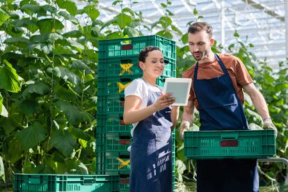 Andalucía, Cataluña, Madrid y Valencia son las comunidades con mayor uso de la tecnología en la agricultura.