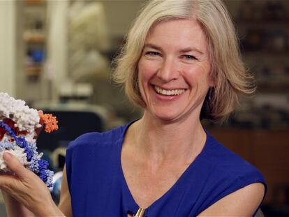 Jennifer Doudna, en una imagen tomada en su despacho de la Universidad de California en Berkeley, en 2015.