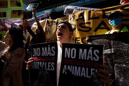 Corridas de toros CDMX