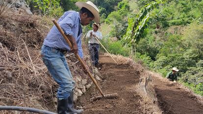 Tres trabajadores agrícolas apoyados por un programa de ACH cultivan hortalizas alternativas al maíz y al frijol en la Aldea El Sauce de Chiquimula, en Guatemala.