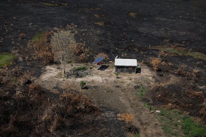 Una casa en medio de tierras arrasadas por los incendios, el 22 de noviembre en Pocone. Durante la temporada de lluvias, los ríos se desbordan, inundan la tierra y gran parte de ella únicamente es accesible por bote o avión. En la temporada seca, los entusiastas de la vida silvestre se dirigen al lugar para ver a los generalmente furtivos jaguares descansando en las cuencas, junto con guacamayas, caimanes y capibaras.