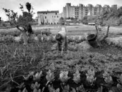 B 32962 - (29.2.00) - COLOR - MASIA CAN MESTRE EN LA ZONA FRANCA DE BCN. - CENTRO DE TRABAJO PARA LA TERCERA EDAD - FOTO JOAN GUERRERO -