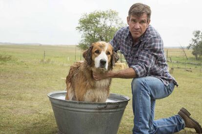 Dennis Quaid, en 'Tu mejor amigo'.