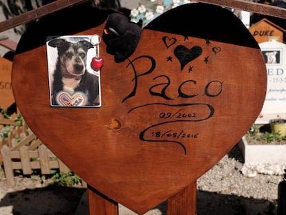 Cemitério de animais de Casa Rosa (Itália). ALBERTO PIZZOLI/AFP/Getty Images