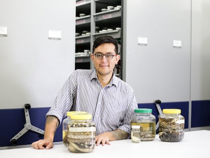 Carlos Bravo durante una entrevista en el Museo de Historia Natural de la Universidad de Los Andes, en Bogotá, el 16 de junio de 2023.