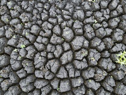 A view of the ground at the Paso Severino Dam reservoir. 

