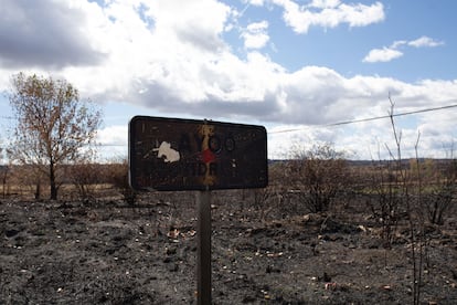 Cartel que anuncia el final de Ayoó de Vidriales, Zamora.