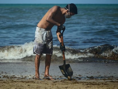 “Se ficar alguma ferida, vai ter valido a pena”; a luta dos voluntários contra o óleo em Pernambuco