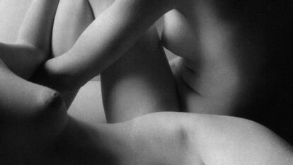 Imogen Cunningham; la belleza a través de las formas