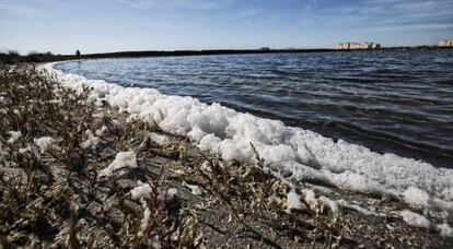 La lucha contra la contaminación de los mares que rodean España es una de las previsibles prioridades del plan nacional de ODS. En la imagen, el Mar Menor en 2016. Foto: CARLOS ROSILLO/EL PAÍS.