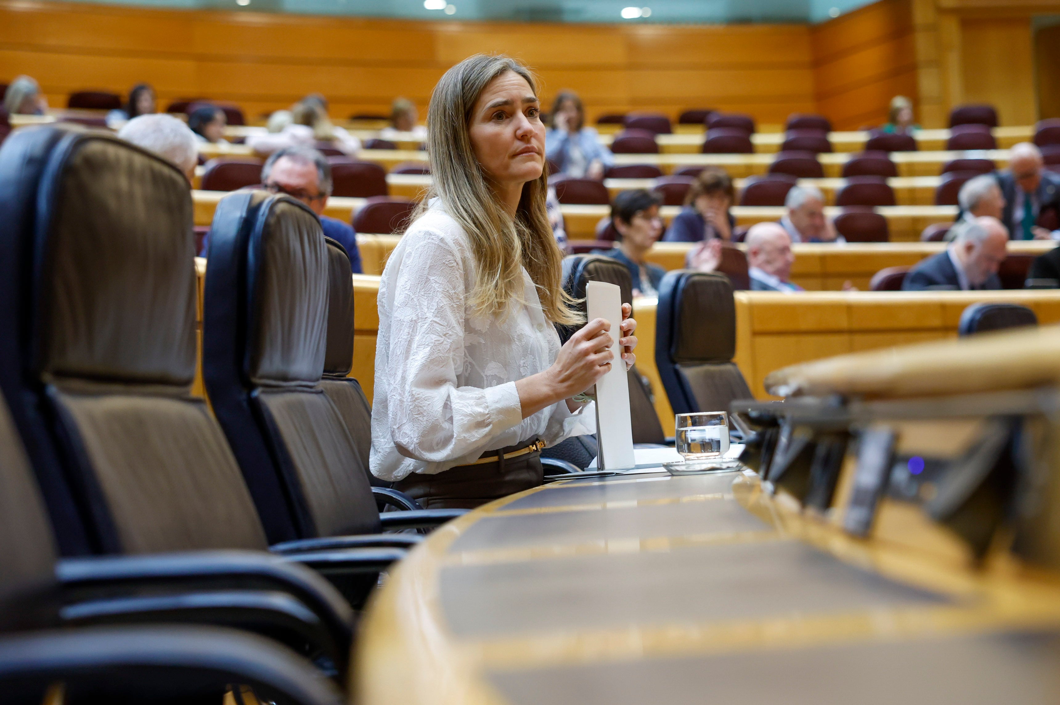 The Senate approves an investigation commission on the blackout in which they intend to quote Aagesen and Corridor | Spain