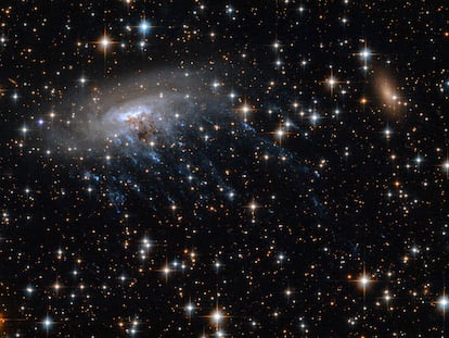 La galaxia espiral ESO 137-001 es un ejemplo de una galaxia 'medusa',