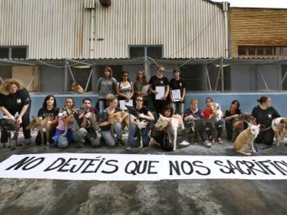 Voluntarios de Modepran, actual gestora del servicio de animales abandonados de Paterna, a las puertas de las instalaciones.