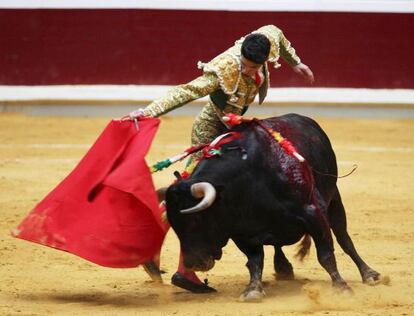 El torero Alejandro Talavante en la faena a su primer toro, de la Feria de San Mateo 2012.