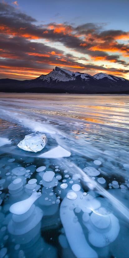 'Frozen Solitud' (soledad congelada) es el título de esta imagen, elegida entre las mejores fotografías panorámicas de la décima edición del concurso Epson International Pano Awards <a href="https://thepanoawards.com/" target="_blank">(thepanoawards.com)</a>. El australiano Luke Saddington captó a la perfección las burbujas congeladas del lago Abraham, en Alberta (al sureste de Canadá). Belleza natural, eso sí, un tanto peligrosa. Estas pompas son, en realidad, bolsas congeladas de metano, un gas inflamable. La vida de plantas y seres vivos en el fondo del lago genera la emisión de este gas que en los meses más fríos del invierno se congela al ascender, formando estas burbujas que se acumulan bajo la superficie. El ocasional estallido de algunas de ellas resulta, generalmente, inofensivo, salvo que en ese momento se encienda una cerilla. Creado en 1972 tras la construcción de la presa de Bighorn, los 53,7 kilómetros cuadrados de extensión del Abraham Lake conservan el azul cristalino típico de los lagos glaciares de la zona. Estos pequeños globos de hielo lo han convertido en una atracción para turistas y fotógrafos, sobre todo cuando el gélido invierno canadiense congela la superficie del lago y permite caminar sobre ellas.