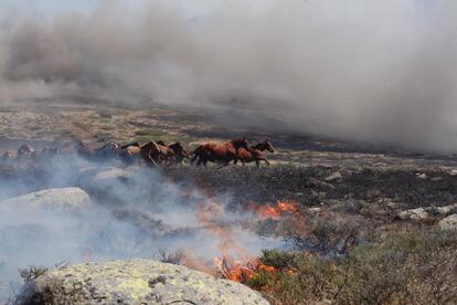 Este miércoles el incendio en Miraflores de la Sierra y el de La Granja de San Ildefonso (Segovia) se dieron por controlados y por ello se redujeron el número de efectivos desplazados en el lugar.