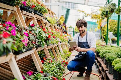 Tanto el pequeño comercio como las pymes se benefician el inventario digital y la rotación del producto gracias a las etiquetas digitales. Ello permite su control en tiempo real desde la fábrica (en la imagen, desde un vivero) a la tienda y la verificación eficiente de la trazabilidad.