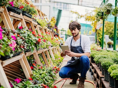 Tanto el pequeño comercio como las pymes se benefician el inventario digital y la rotación del producto gracias a las etiquetas digitales. Ello permite su control en tiempo real desde la fábrica (en la imagen, desde un vivero) a la tienda y la verificación eficiente de la trazabilidad.