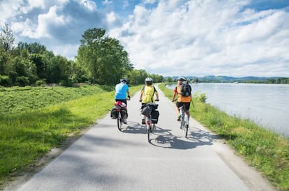 Un grupo de cicloturistas recorre un tramo del Donauradweg.